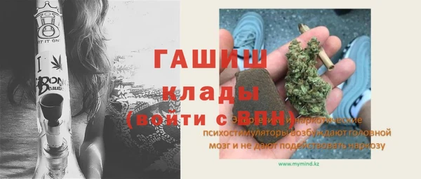 spice Богородск