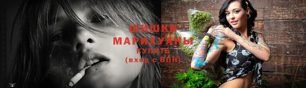 spice Богородск