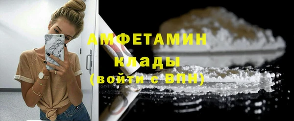 spice Богородск