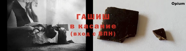 spice Богородск