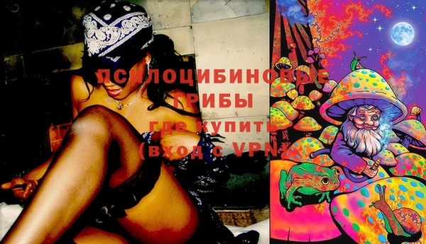 spice Богородск