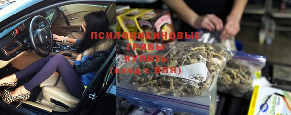 spice Богородск