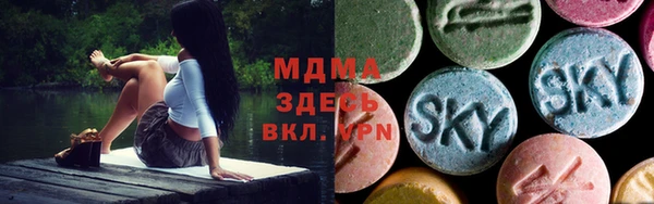 spice Богородск