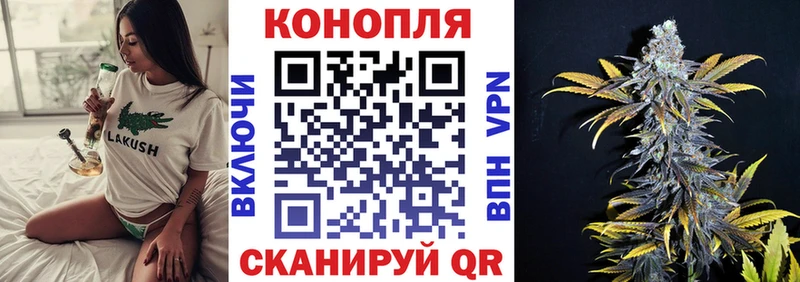 закладка  Сосногорск  Канабис конопля 